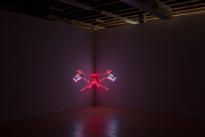 images of laser beams projected on wall