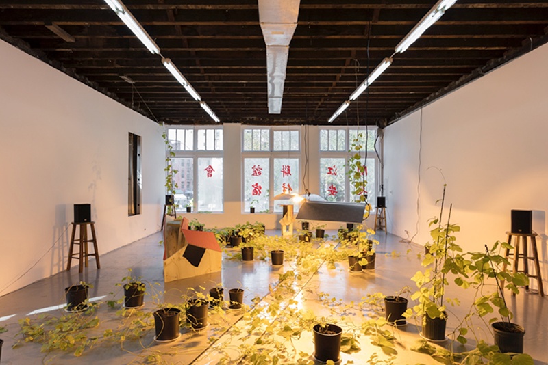 installation shot of kudzu growing under warm plant light and around wooden structures